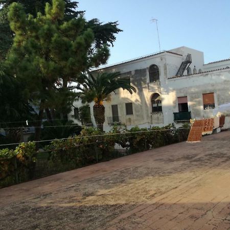 Zia Amalia Villa Asfodelo 알게로 외부 사진