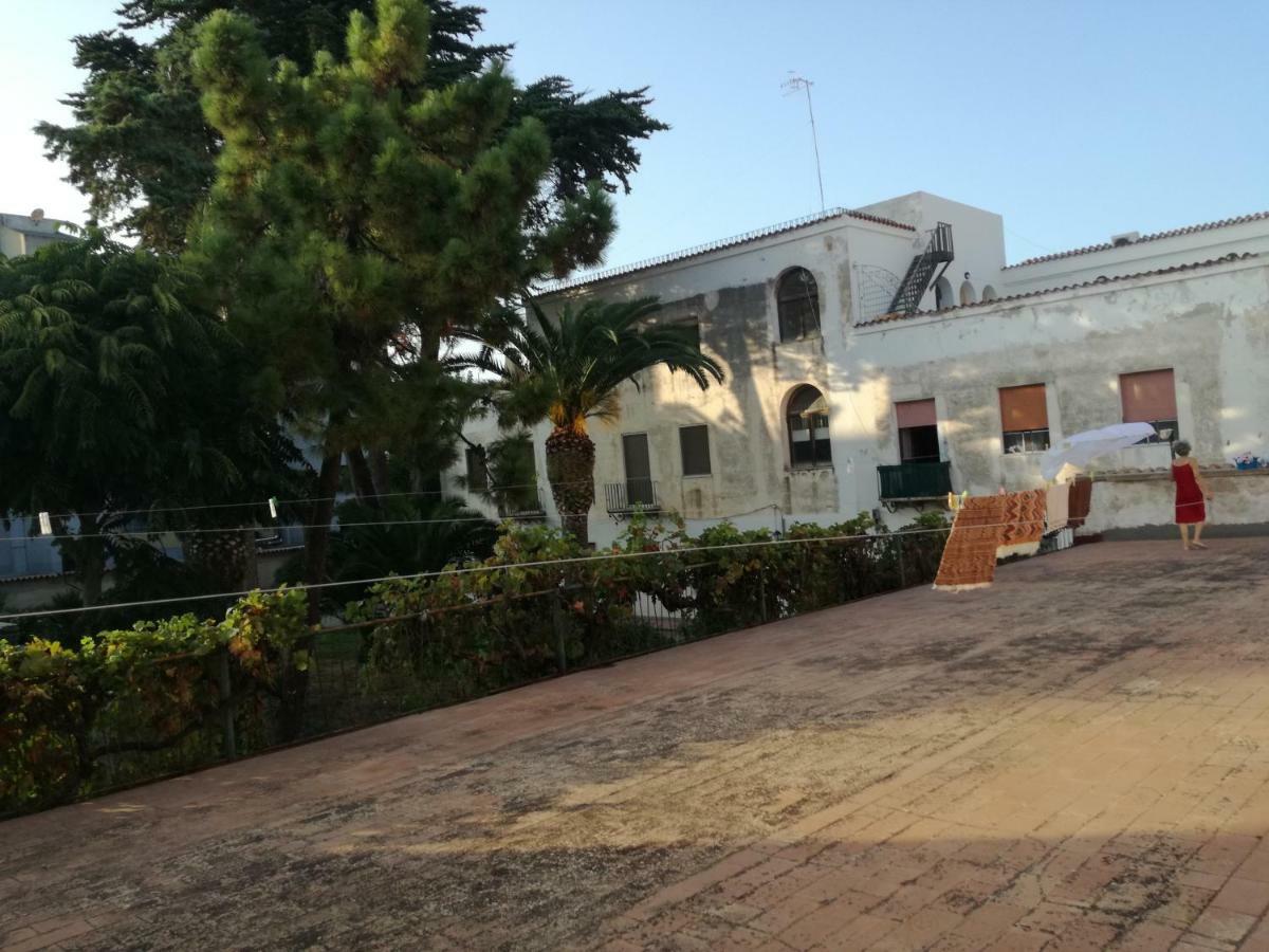 Zia Amalia Villa Asfodelo 알게로 외부 사진