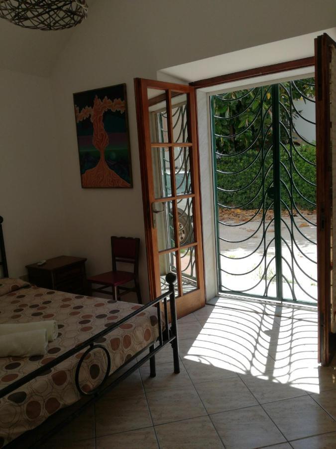 Zia Amalia Villa Asfodelo 알게로 외부 사진